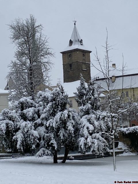 Samstag 2.12.2023 - Pilsen